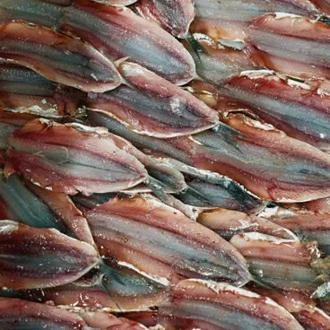 Filetti di pesce allineati uno accanto all'altro